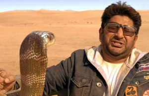 Total Dhamaal 15th Day Collection, Indra Kumar's Film Remains Steady on its 3rd Friday