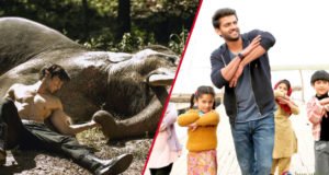 Junglee and Notebook 5th Day Collection, 1st Tuesday Box Office Report