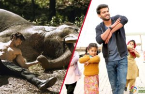 Junglee and Notebook 5th Day Collection, 1st Tuesday Box Office Report
