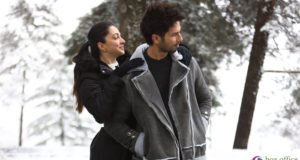 Kabir Singh 1st Day Collection, Shahid-Kiara's Film Takes an Excellent Opening