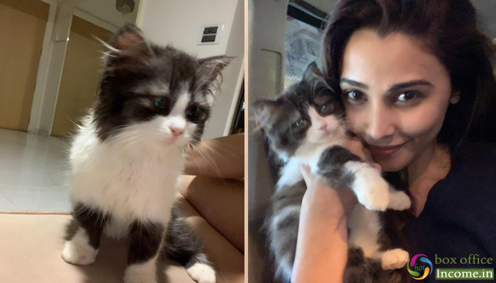 Entertainment: Daisy Shah Introduces Lizzy the New Member Of The Family!