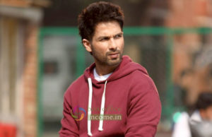 Kabir Singh 13th Day Collection, Rakes 206.48 Crores by 2nd Wednesday