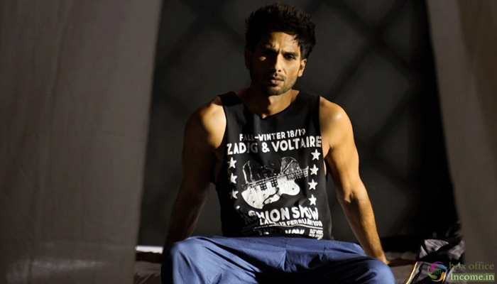 Kabir Singh 19th Day Collection, Earns 243.17 Crores by 3rd Tuesday across India