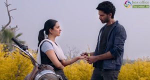 Kabir Singh 29th Day Collection, Shahid Starrer Remains Steady on 5th Friday