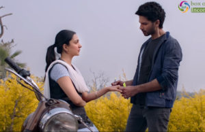 Kabir Singh 29th Day Collection, Shahid Starrer Remains Steady on 5th Friday