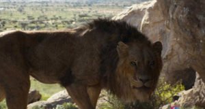 The Lion King 17th Day Collection, Earns 139.20 Crores by 3rd Weekend in India!
