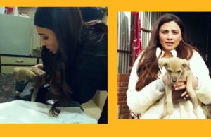 Daisy Shah Rescues a Puppy in Distress on The Sets of ‘See You In Court’ Daisy Shah Rescues a Puppy in Distress on The Sets of 'See You In Court'