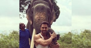 Haathi Mere Saathi: Pulkit Samrat bonds with his cutest co-star yet, Unni the Elephant!