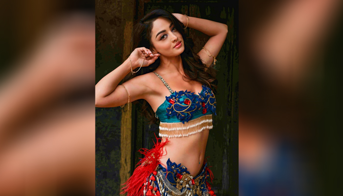 Ja Re Ja O Harjai: Sandeepa Dhar learns belly dance for remixed version; as an ode to actress Reena Roy!