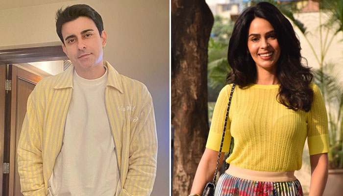 What happened when actor Gautam Rode met Mallika Sherawat for the first time?