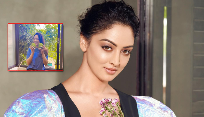 Sandeepa Dhar relives childhood, plucks mangoes from the trees!