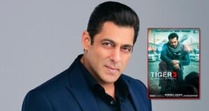 Salman Khan on the success of 'Tiger 3': "It feels great to taste…."
