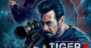 Tiger 3: Maneesh Sharma spoke about several action sequences in Salman Khan starrer!