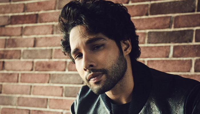 Siddhant Chaturvedi on Playing a Small-Town Boy in Dhadak 2: 'As an actor, I feel truly...'