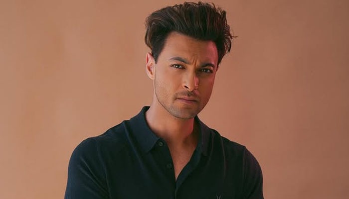 Aayush Sharma Talks About Celebrating Independence Day with His Family, Recalls Listening to Stories from His Grandfather