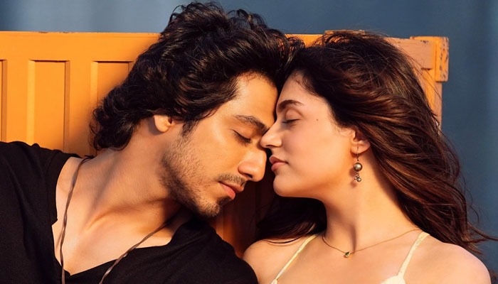 Saiyaara Box Office Collection Day 14: Despite New Releases, Film Ends Second Week Strong