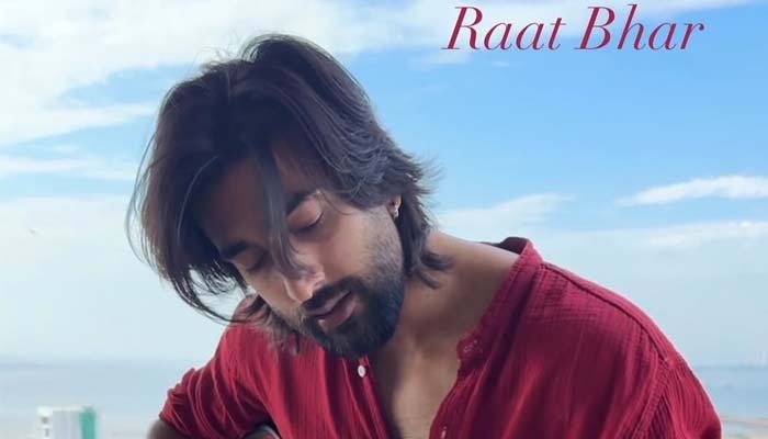 Meezaan Jafri Leaves Fans in Awe with His Rendition of Raat Bhar from De De Pyaar De 2 - Watch Video