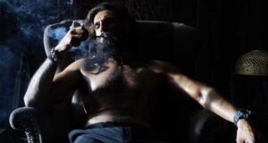 Dhurandhar Box Office Collection Day 13: Ranveer Singh's Film Crosses 450 Crore in India