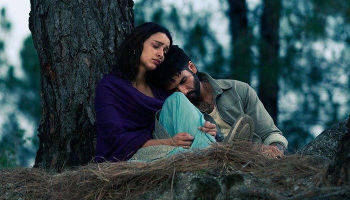 O Romeo Box Office Collection Day 3: Shahid Kapoor-Triptii Dimri's Film Closes Opening Weekend on a Decent Note