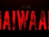 Akshay Kumar and Saif Ali Khan Reunite for Priyadarshan's Haiwaan Releasing In Cinemas Worldwide on 11th September 2026