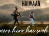 Saif Ali Khan and Pahal Chaudhary Bring Alive the Heart and Innocence of ‘Haiwaan’ in First Song ‘Mere Hero Hai Woh’ Saif Ali Khan and Pahal Chaudhary Bring Alive the Heart and Innocence of 'Haiwaan' in First Song 'Mere Hero Hai Woh'