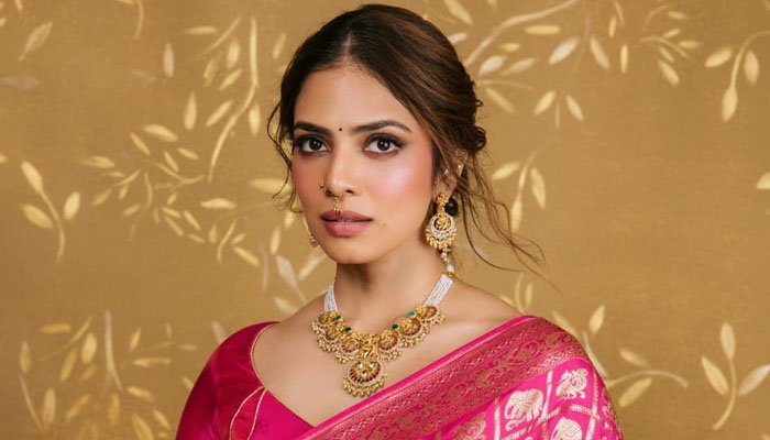 Malavika Mohanan Radiates Regal Charm and Ethereal Beauty in a Beautiful Pink Saree